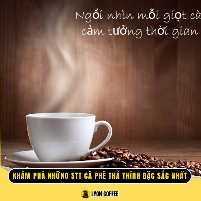 STT Cafe Thả Thính: Gợi Ý Những Câu Nói Hay, Ấn Tượng