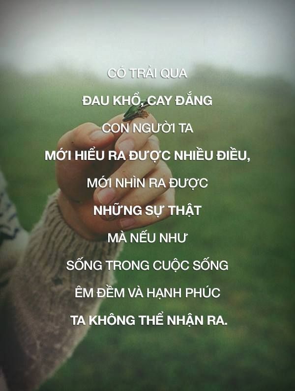 STT Cay Đắng Cuộc Đời: Những Câu Nói Đầy Tâm Trạng Buồn