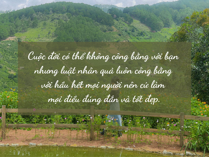 STT Cay Đắng Cuộc Đời: Những Câu Nói Đầy Tâm Trạng Buồn Gallery 2