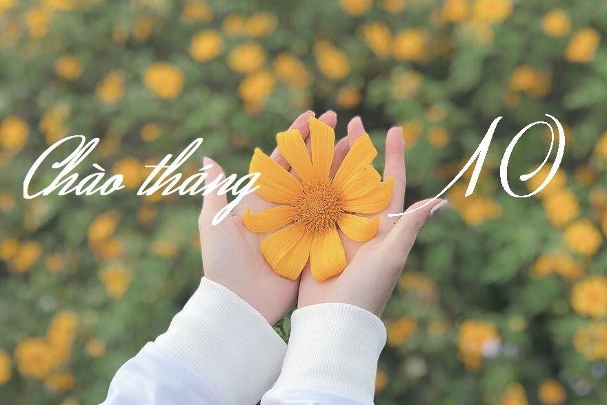 STT Chào Tháng 10: Những Câu Nói Hay và Ý Nghĩa Nhất
