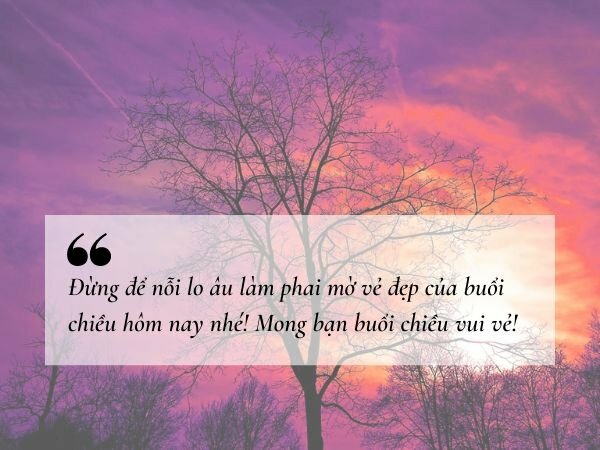 STT Chiều Vui Vẻ: Những Câu Nói Hay và Ý Nghĩa Nhất Gallery 2