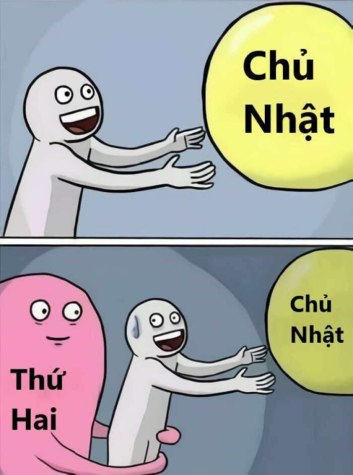 STT Chủ Nhật Hài Hước: Tuyển Tập Những Câu Nói Siêu Nhắng Nhít Cho Ngày Nghỉ Cuối Tuần