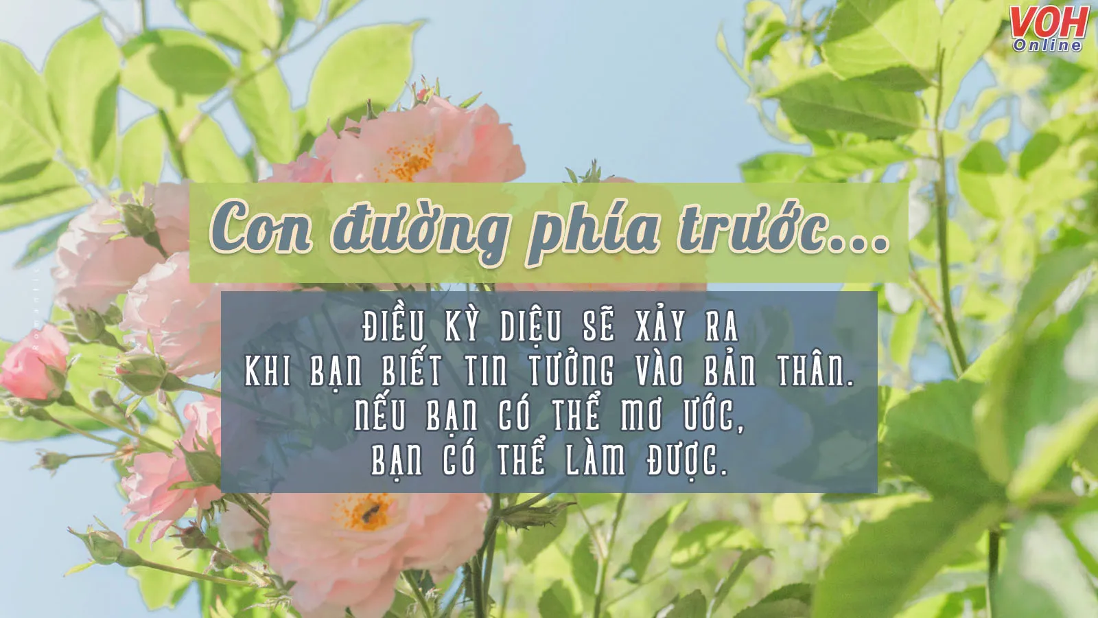 STT Con Đường: Những Câu Nói Hay Về Con Đường Cuộc Đời