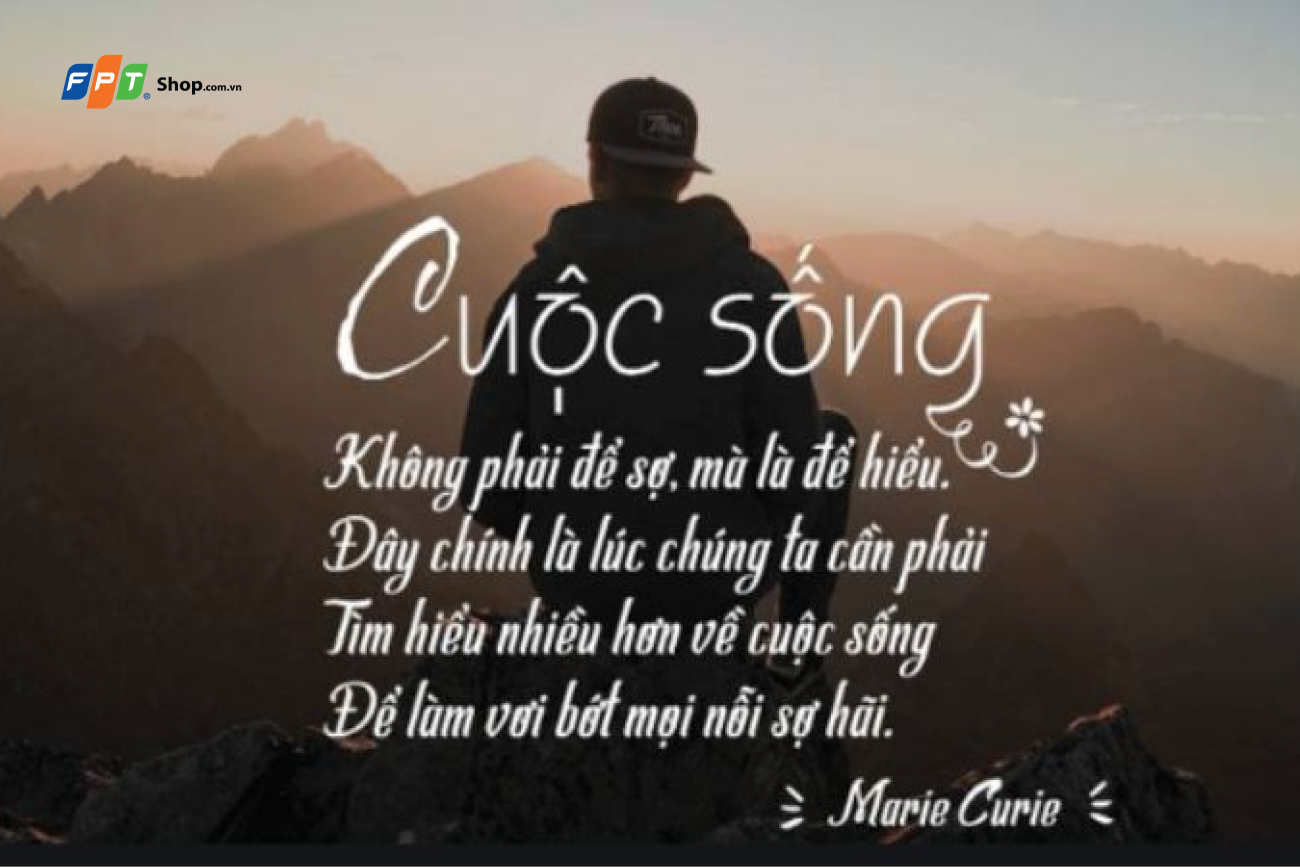 STT Cuộc Sống: Những Câu Nói Hay và Ý Nghĩa Về Cuộc Sống