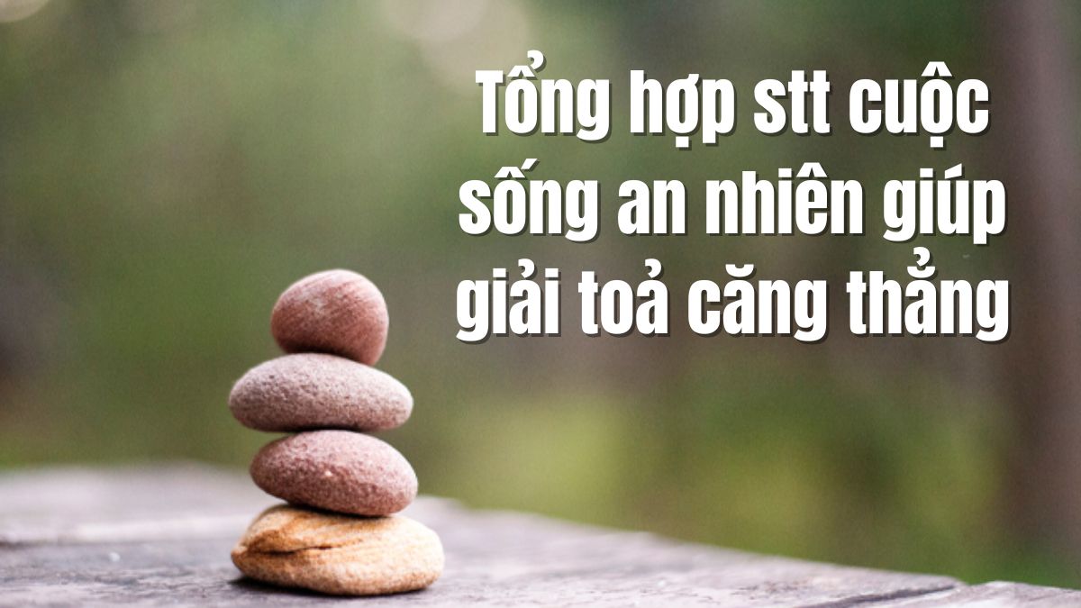 STT Cuộc Sống An Nhiên Hài Hước:  Những Câu Nói Chất Lừ Về Cuộc Sống Thảnh Thơi