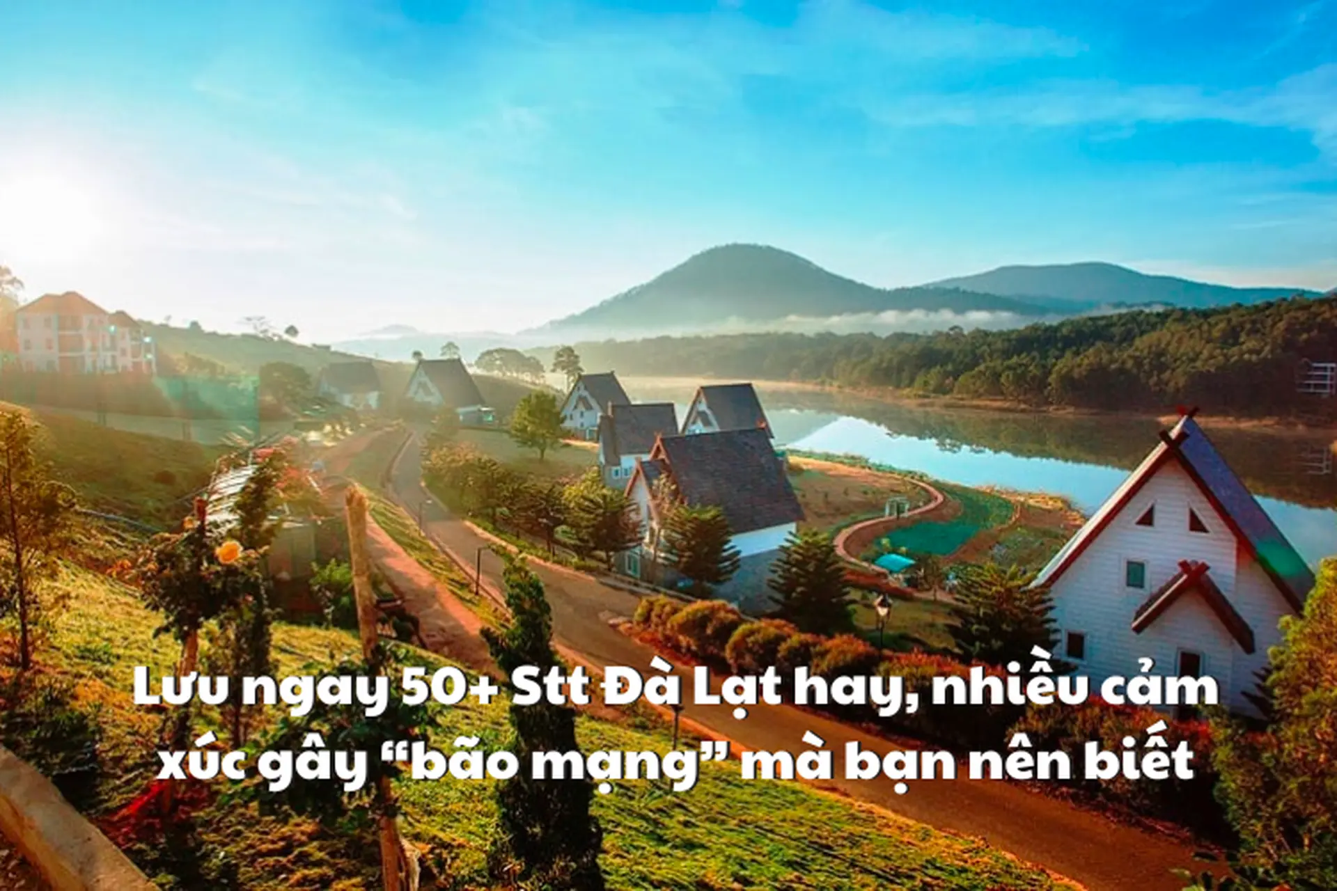 STT Đà Lạt Hay - Gợi Cảm Xúc Ngàn Hoa