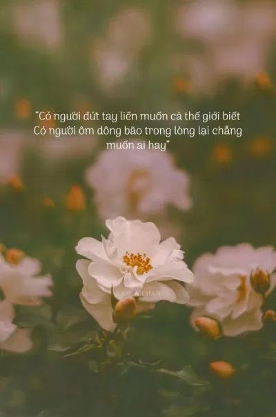 STT Đau Lòng Ngắn: Những Câu Nói Buồn Thấm Thía Về Tình Yêu, Cuộc Sống