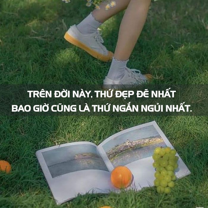 STT Đau Lòng Ngắn: Những Câu Nói Buồn Thấm Thía Về Tình Yêu, Cuộc Sống Gallery 2