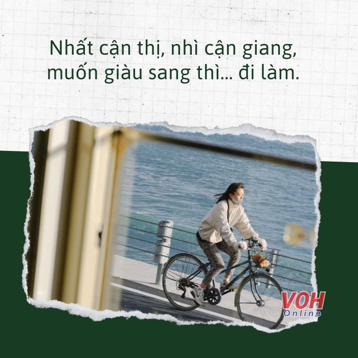 STT Đi Làm Hài Hước: Tuyển Tập Những Câu Nói Bá Đạo Chế Giễu Cuộc Sống Công Sở