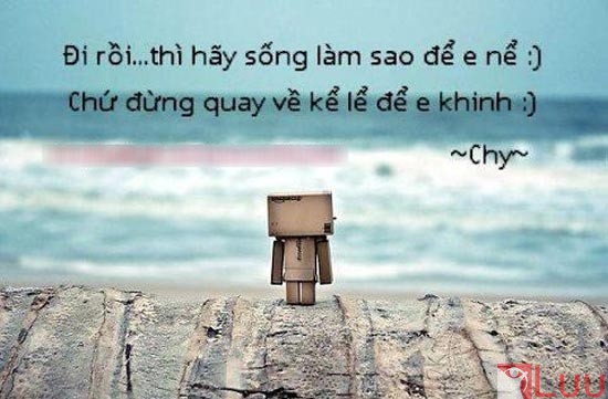 STT Độc Lạ: Tuyển Tập Những Câu Nói Hay, Chất Lừ Và Gây Nghiện