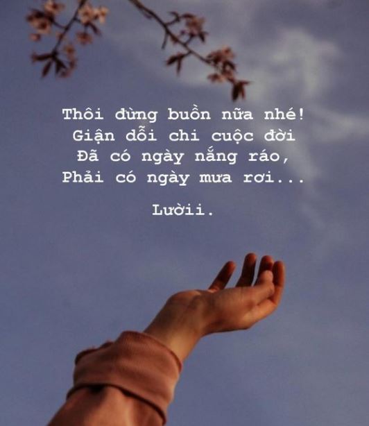 STT Đời Buồn: Tổng Hợp Những Câu Nói Tâm Trạng Buồn Bã Nhất