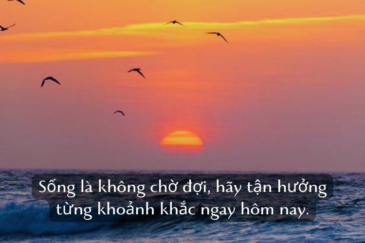 STT Facebook Hay: Tuyển Tập Những Câu Nói Hay Nhất, Ý Nghĩa Nhất