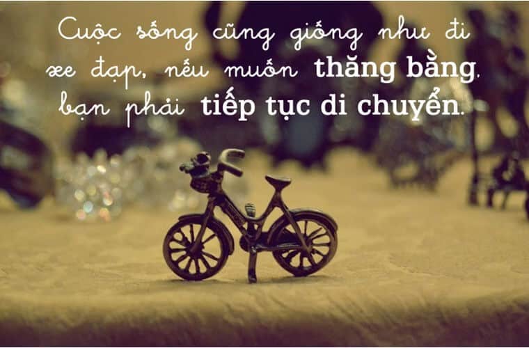 STT Hay Về CS: Những Câu Nói Chạm Đến Trái Tim Gallery 1