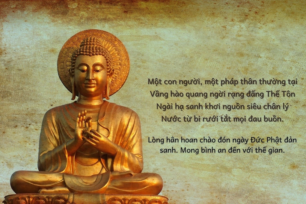 STT Hay Về Phật: Lời Phật Dạy Về Cuộc Sống, Tình Yêu Và Hạnh Phúc Gallery 2