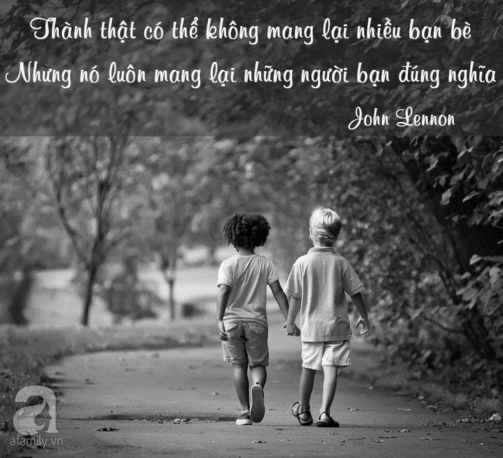 STT Hay Về Tình Bạn: Những Câu Nói Chân Thành Về Tình Cảm Đẹp Gallery 2