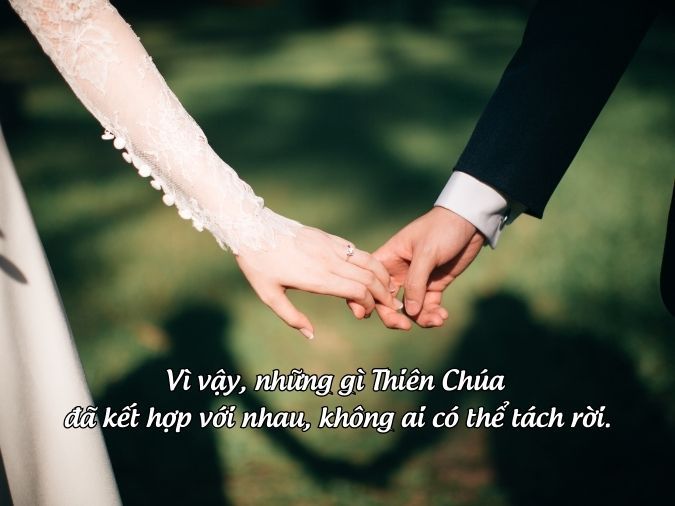 STT Hay Về Tình Yêu Công Giáo