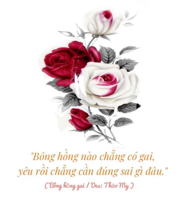 STT Hoa Hồng Nào Mà Chẳng Có Gai