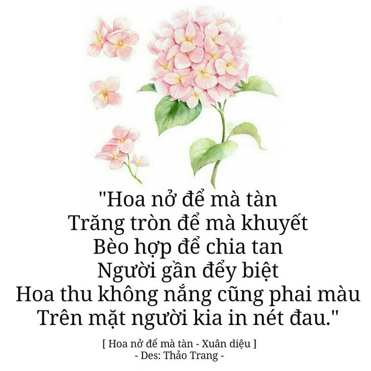 STT Hoa Nở Hoa Tàn: Những Câu Nói Hay Về Cuộc Sống, Tình Yêu Và Thời Gian Gallery 2