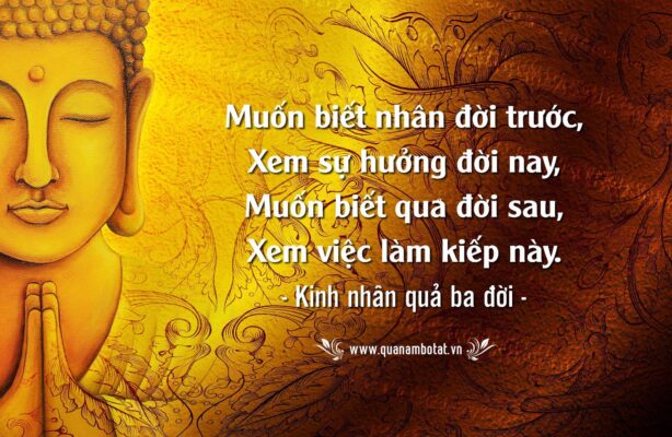 STT Luật Nhân Quả Hay và Ý Nghĩa