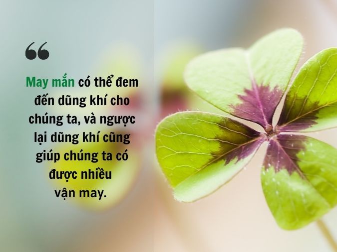 STT May Mắn: Những Câu Nói Hay Về May Mắn Và Thành Công