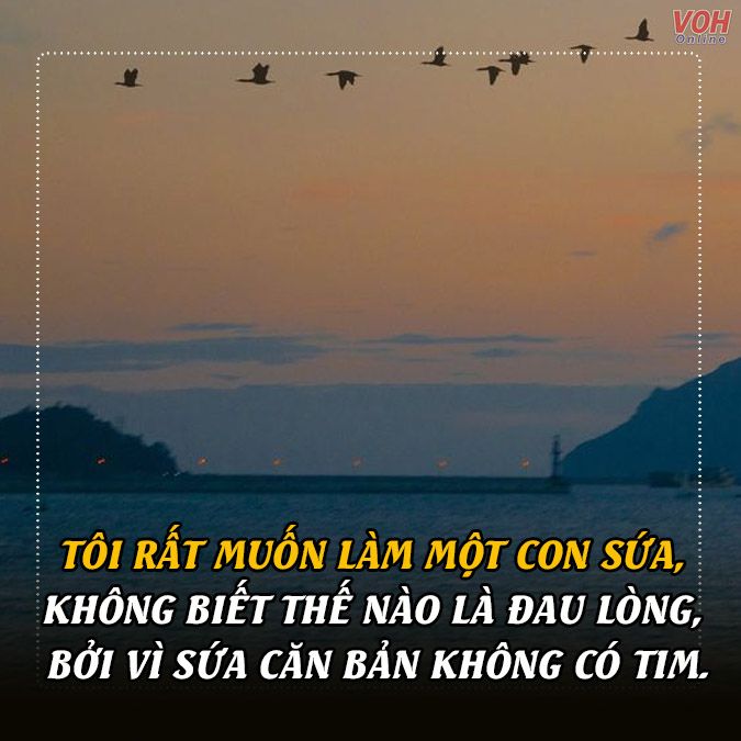 STT Mệt Mỏi Về Cuộc Sống Tiền Bạc:  Khi Tài Chính Gây Áp Lực Gallery 2