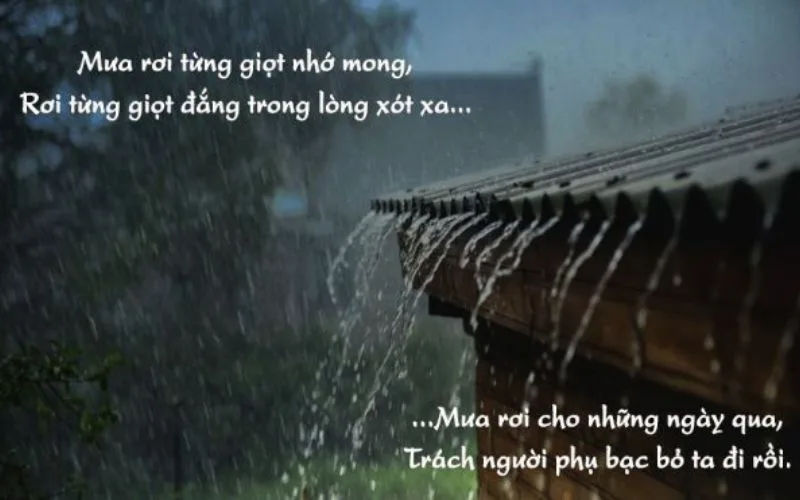 STT Mưa Buồn: Những Câu Nói Hay Về Mưa Và Nỗi Buồn Gallery 1