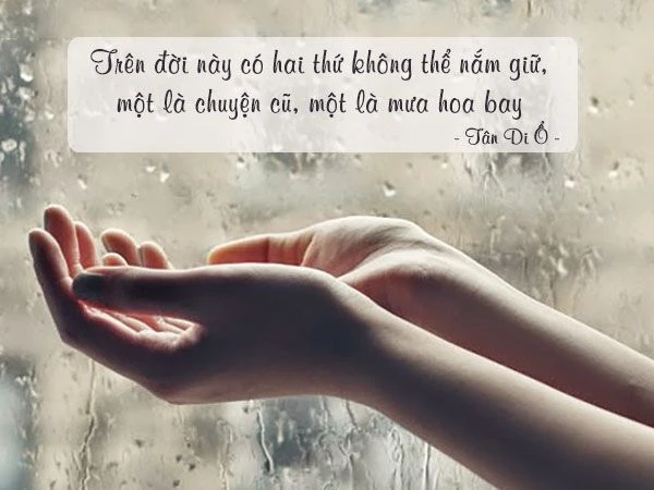 STT Mưa Buồn: Những Câu Nói Hay Về Mưa Và Nỗi Buồn Gallery 2