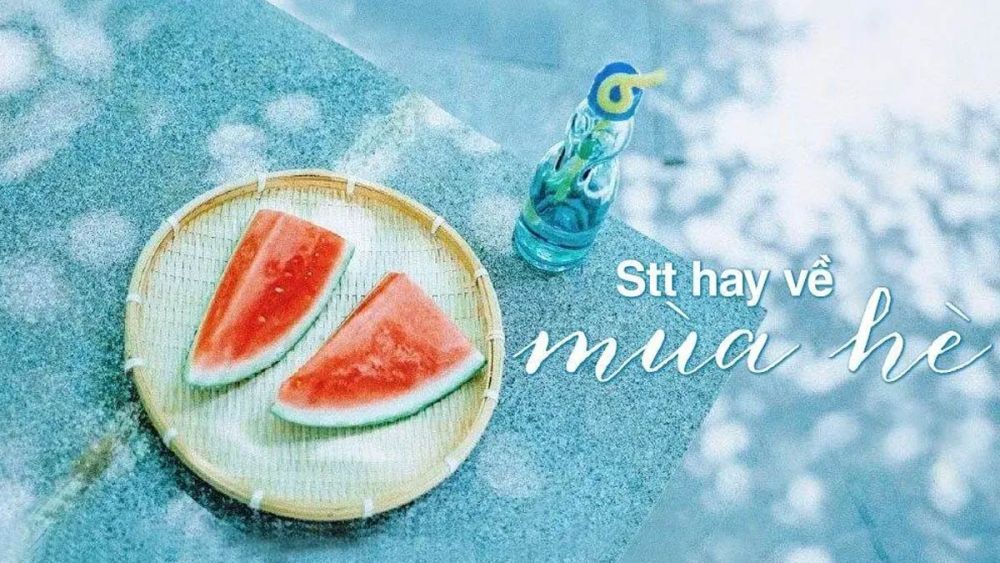 STT Mùa Hè Hài Hước: Cười Ngất Ngây với Những Câu Nói Bá Đạo