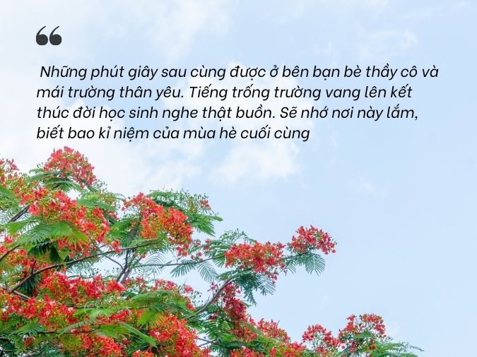 STT Mùa Hè Hay Nhất: Cập Nhật Ngay Những Câu Nói Chất Lừ! Gallery 1