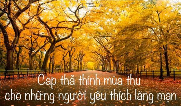 Những Status Mùa Thu Thả Thính "Gây Nghiện" - Thu Vàng, Tình Yêu Ngọt Ngào