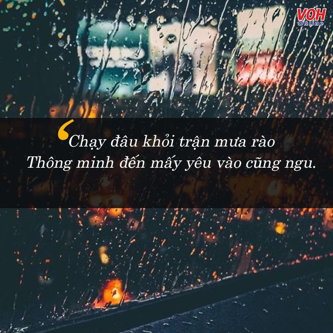 STT Mưa Vui: Những Câu Nói Hay Về Mưa Giúp Bạn Tỏa Sáng Tâm Trạng Gallery 1