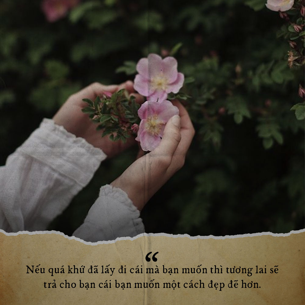 STT Ngắn Hay Về Cuộc Sống: Lời Khẳng Định Cho Hành Trình Sống