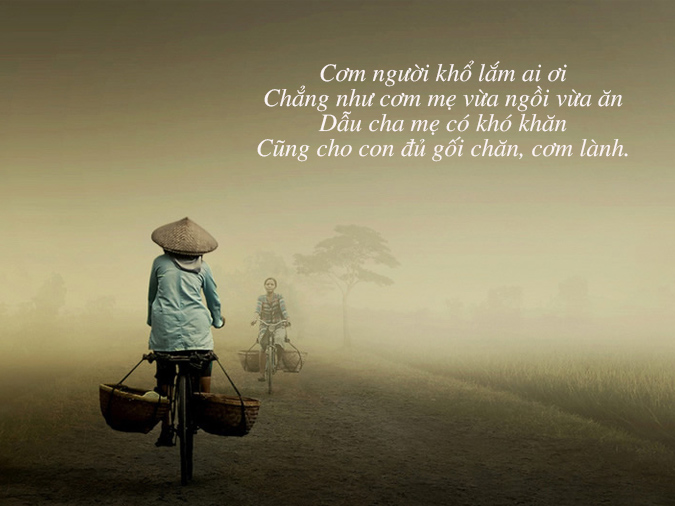STT Ngắn Về Cha Mẹ Hay Và Ý Nghĩa
