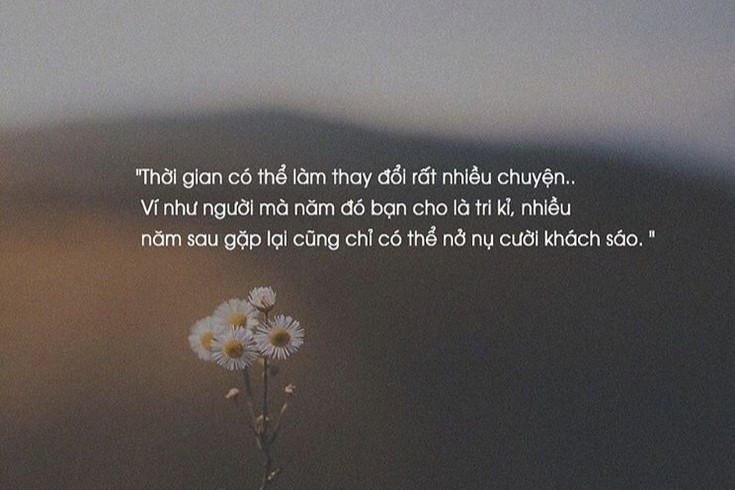 STT Ngắn Về Đời: Những Câu Nói Hay, Gợi Cảm Xúc