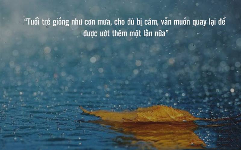 STT Ngày Mưa Hay và Ý Nghĩa Gallery 2