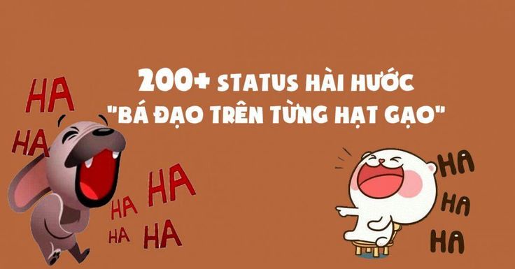 STT Nhây bá đạo nhất quả đất - Tuyển tập những câu nói hài hước nhất Gallery 2