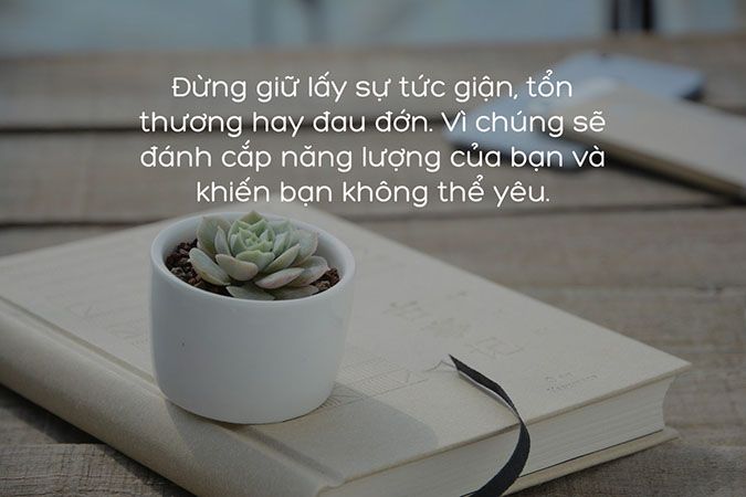 STT Nóng Giận: Tuyển Tập Những Câu Nói Hay, Bộc Phát Cảm Xúc Gallery 2
