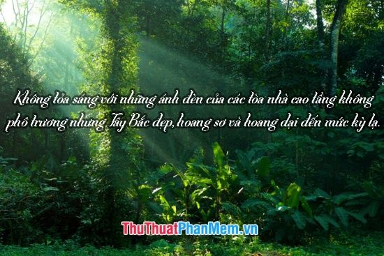 STT Núi Rừng Hay và Ý Nghĩa Gallery 2