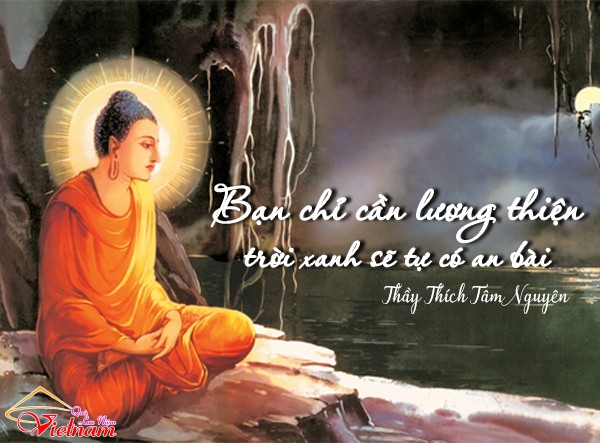STT Phật Pháp Hay và Ý Nghĩa: Tìm Kiếm Sự Bình An Trong Tâm Hồn