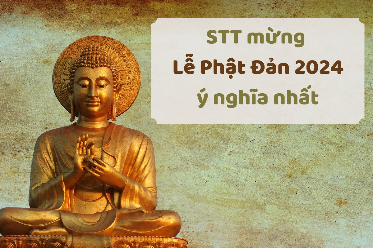 STT Phật Pháp Hay và Ý Nghĩa: Tìm Kiếm Sự Bình An Trong Tâm Hồn Gallery 2