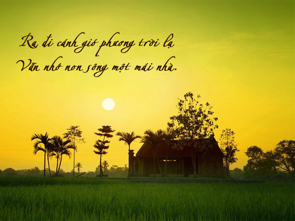 STT Quê Hương: Những Câu Nói Hay Về Quê Cha Đất Mẹ