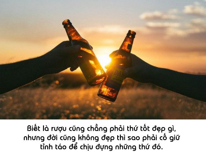 STT Say Rượu: Những Câu Nói Hay Về Việc Say Xỉn Và Cuộc Sống