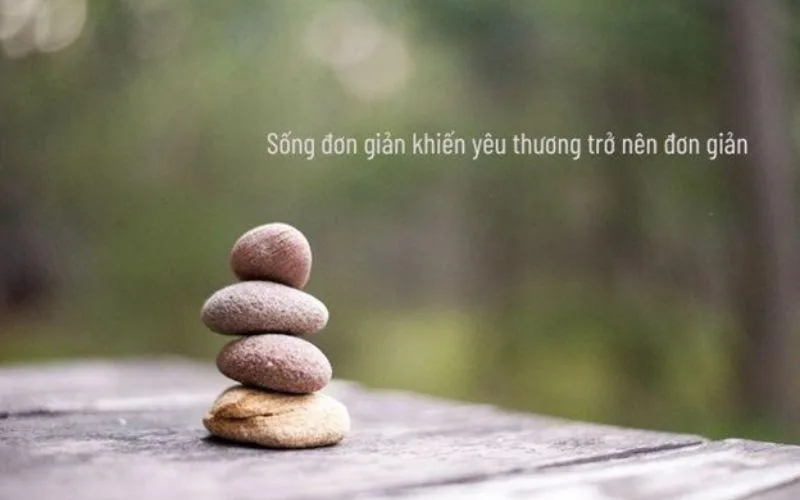 STT Sống Đơn Giản: Hạnh phúc đến từ sự giản dị