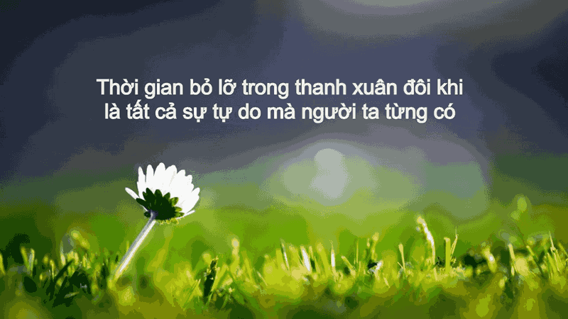 STT Sống Không Biết Điều: Những Câu Nói Hay Về Sự Vô Tâm Và Ích Kỷ Gallery 2