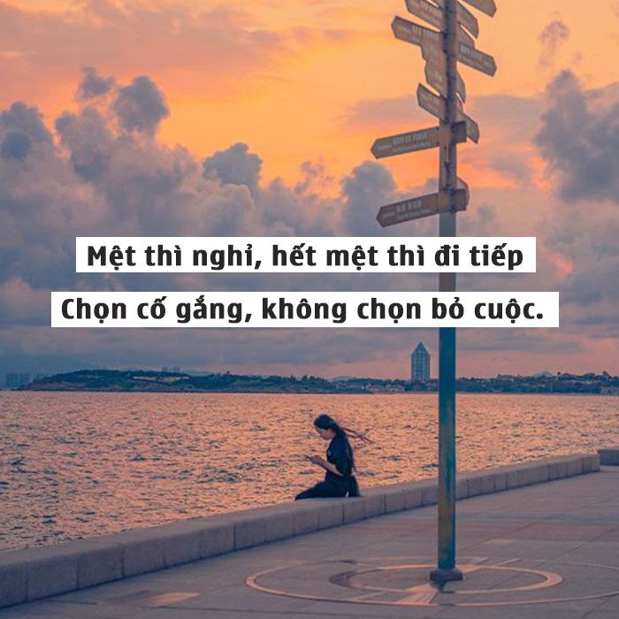STT Sống Ở Đời: Những Câu Nói Hay Về Cuộc Sống, Triết Lý Sống Ý Nghĩa Gallery 2