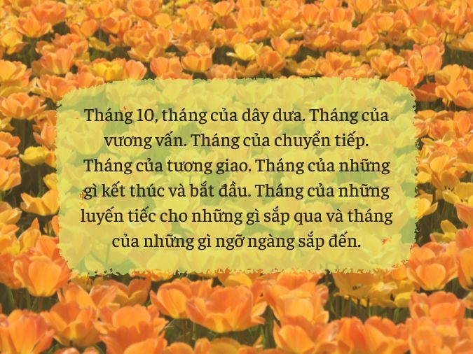 STT Tháng 10 Hay Nhất: Những Câu Nói Chạm Đến Trái Tim Gallery 2