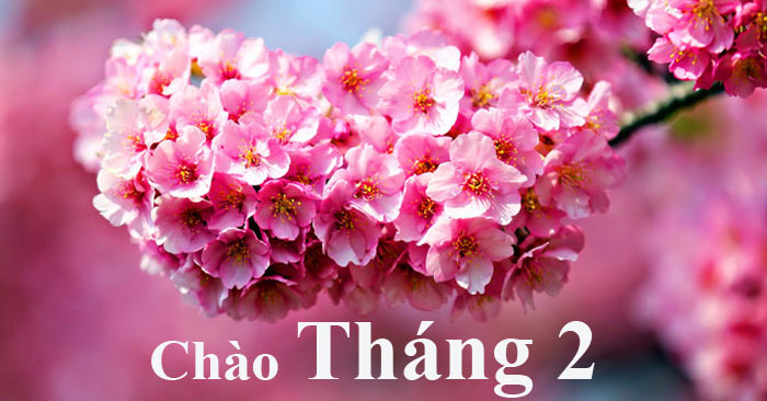 STT Tháng 2 Hay và Ý Nghĩa: Tuyển Tập Những Câu Nói Hay Nhất