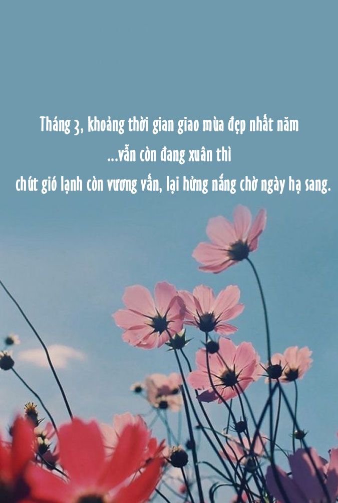 STT Tháng 3 Hay Nhất:  Tuyển Tập Câu Nói Ý Nghĩa Về Tháng Ba Gallery 1