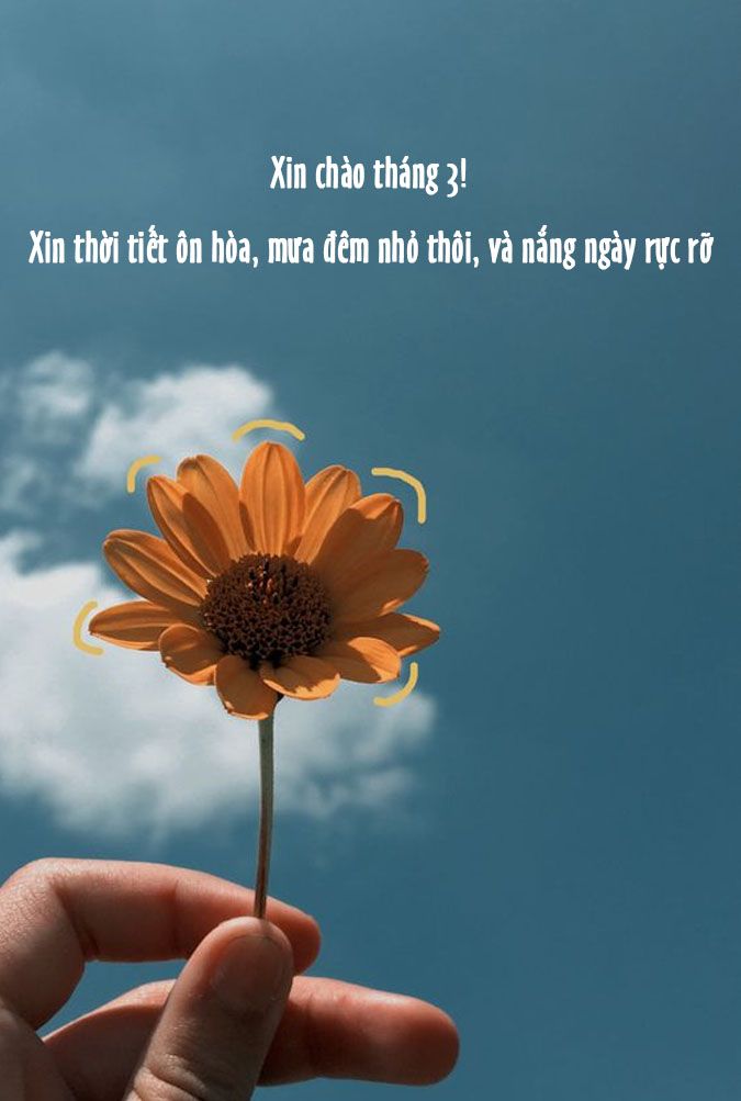 STT Tháng 3 Hay Nhất:  Tuyển Tập Câu Nói Ý Nghĩa Về Tháng Ba Gallery 2