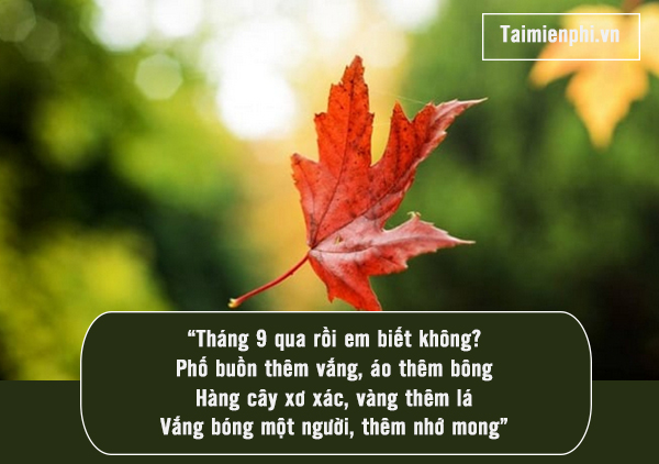 STT Tháng 9 Hay Nhất - Cập Nhật Những Status Chất Nhất Gallery 1